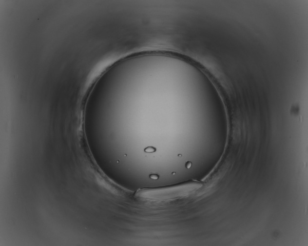 X0000093571366200710221434