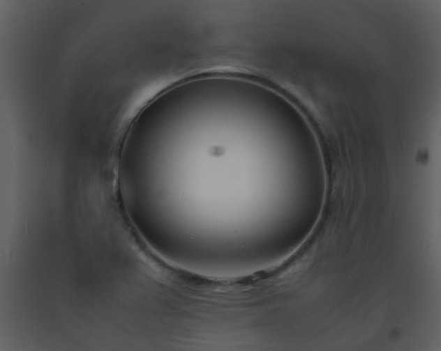 X0000093571367200710221434