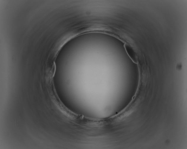 X0000093571369200710221434