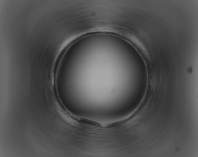 X0000093571372200710221434