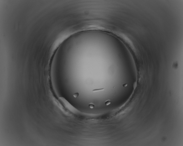 X0000093571373200710221434
