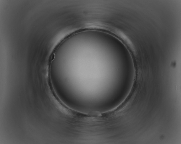 X0000093571376200710221434