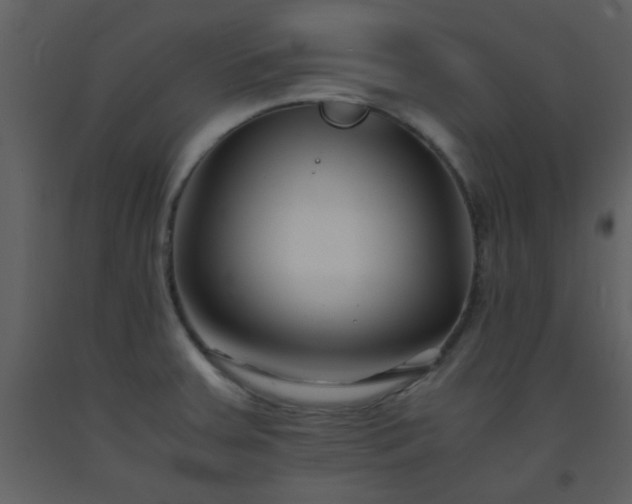 X0000093571379200710221434