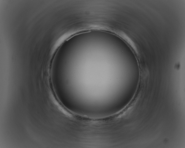 X0000093571381200710221434