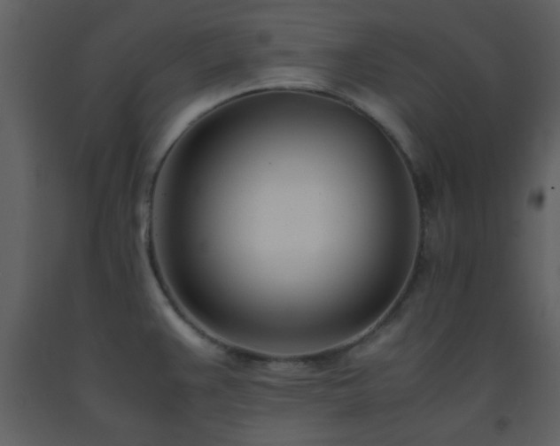 X0000093571383200710221434