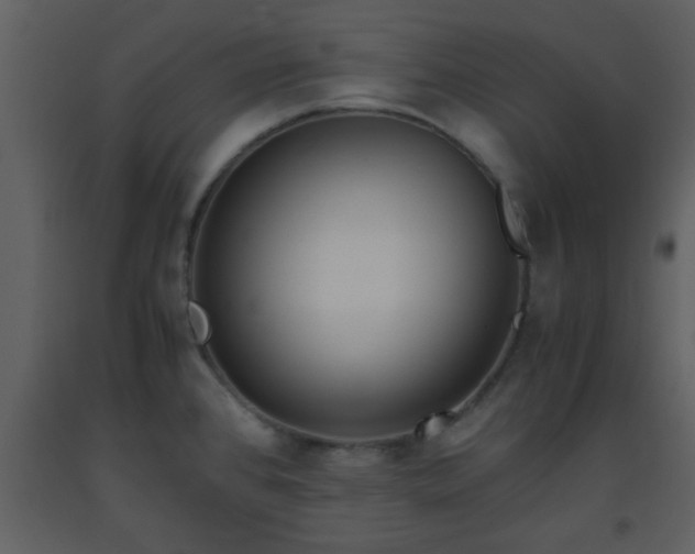 X0000093571384200710221434