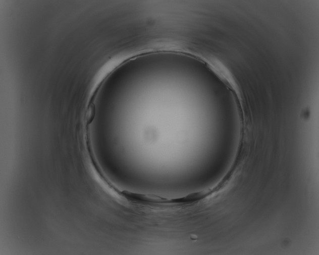 X0000093571389200710221434