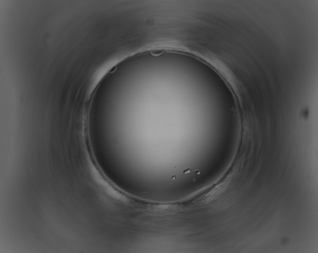 X0000093571390200710221434