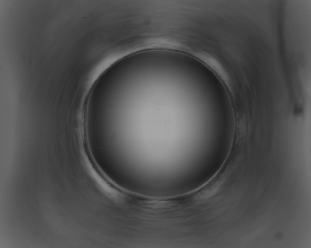 X0000093571391200710221434