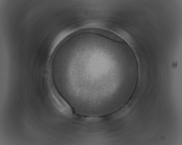 X0000093571392200710221434