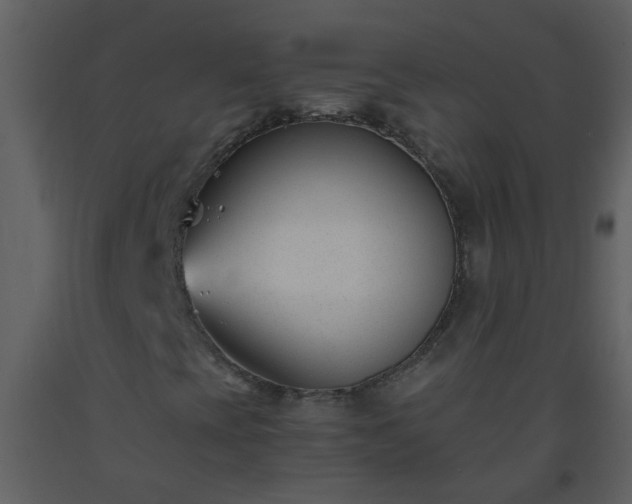 X0000093571393200710221433