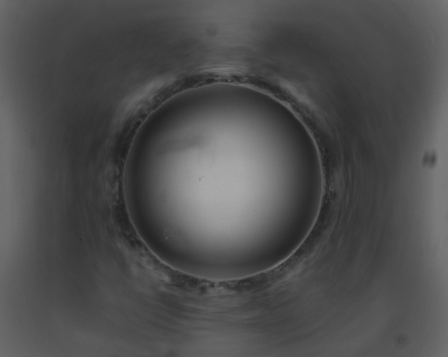 X0000093571398200710221433