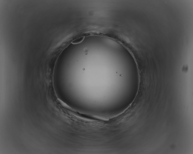 X0000093571399200710221433