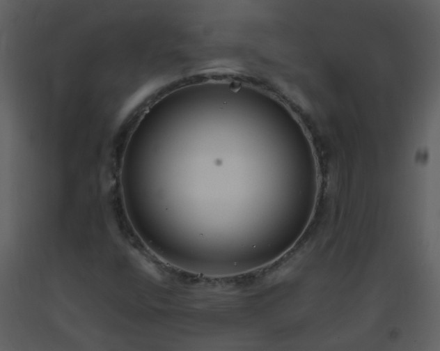 X0000093571400200710221433