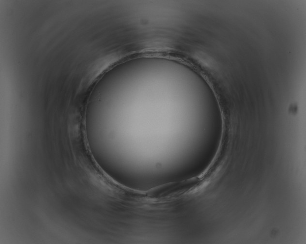 X0000093571401200710221433