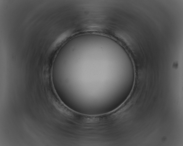 X0000093571403200710221433