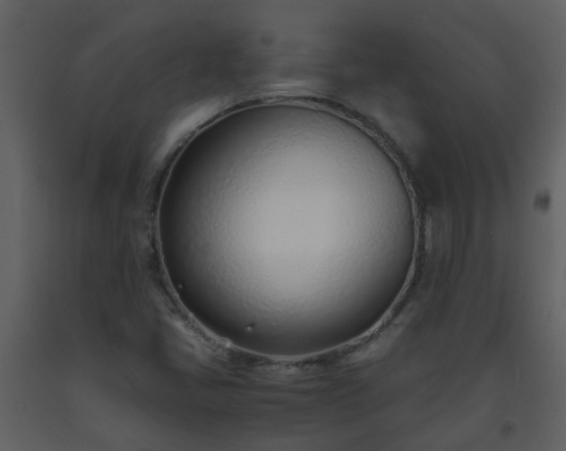 X0000093571405200710221433