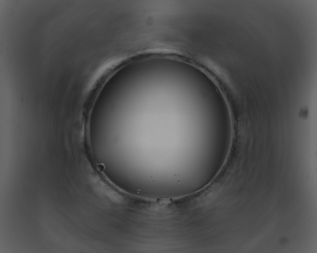 X0000093571408200710221434