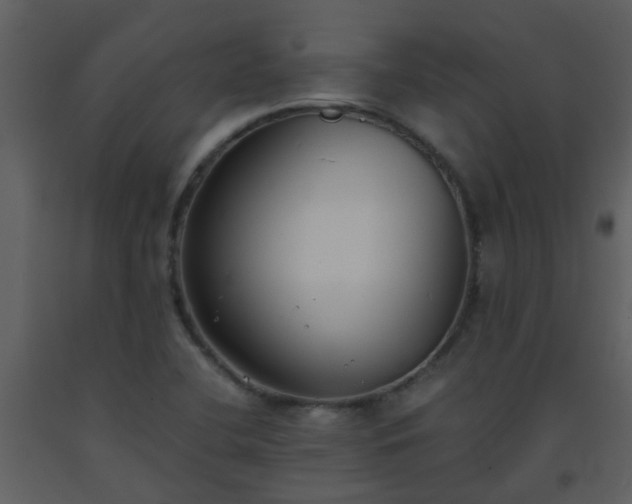 X0000093571412200710221434