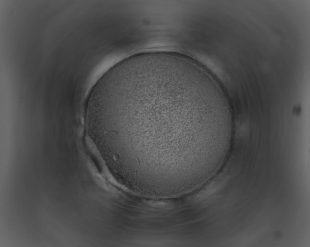 X0000093571413200710221434