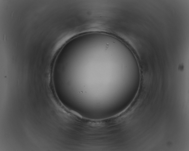 X0000093571415200710221434