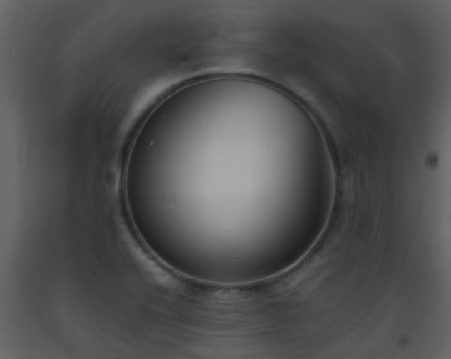 X0000093571416200710221434