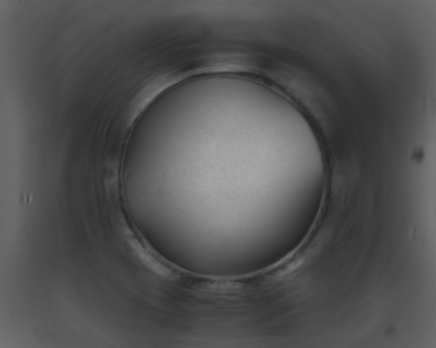 X0000093571417200710221434