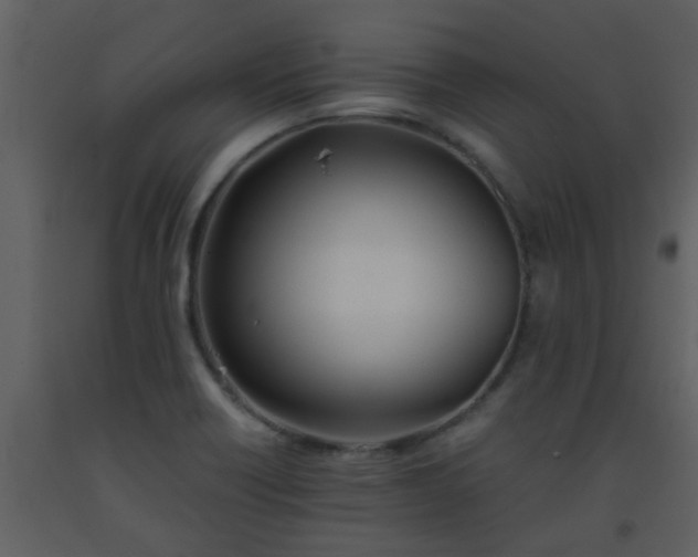 X0000093571418200710221434