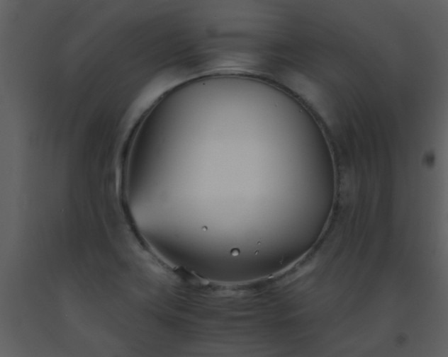 X0000093571419200710221434