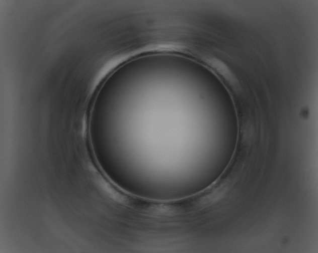 X0000093571420200710221434