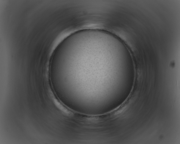 X0000093571421200710221434
