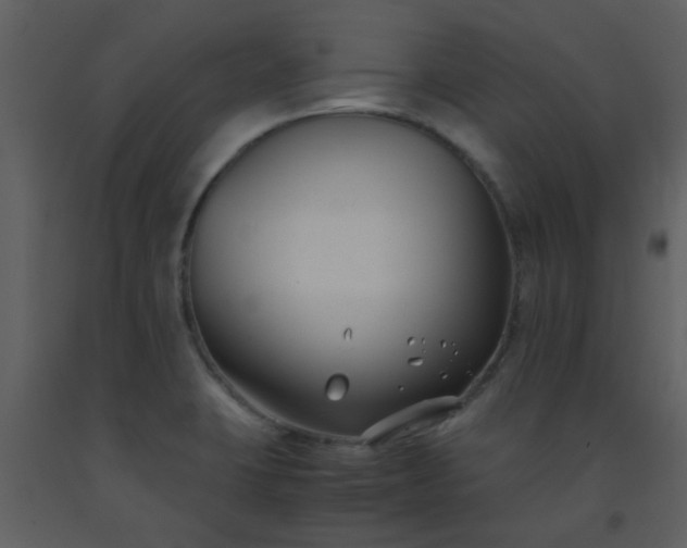 X0000093571423200710221434
