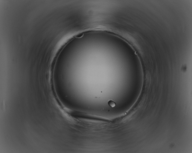 X0000093571424200710221434