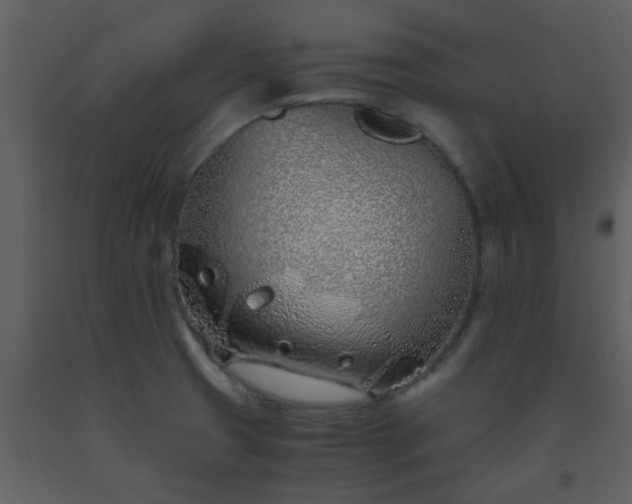 X0000093571425200710221434