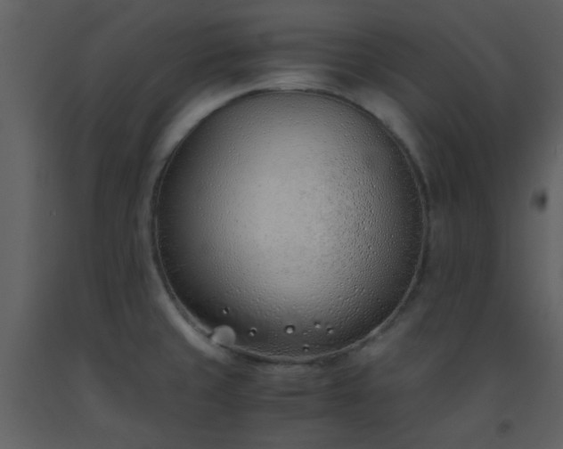 X0000093571429200710221434