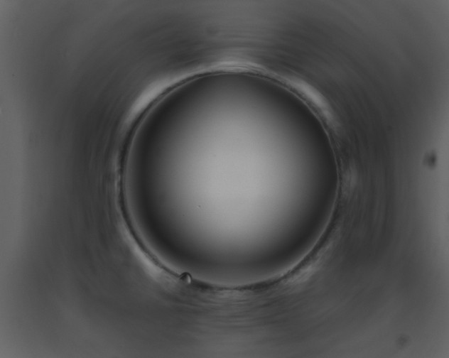 X0000093571430200710221434
