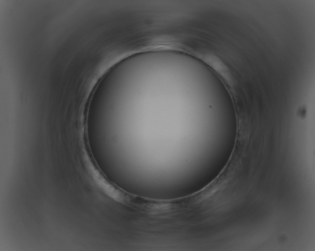 X0000093571431200710221434
