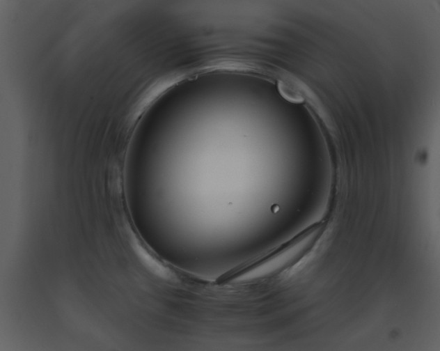 X0000093571433200710221434