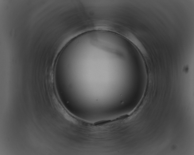 X0000093571436200710221434