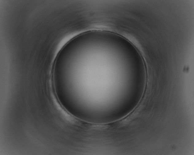 X0000093571440200710221434