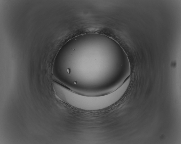 X0000093571441200710221433