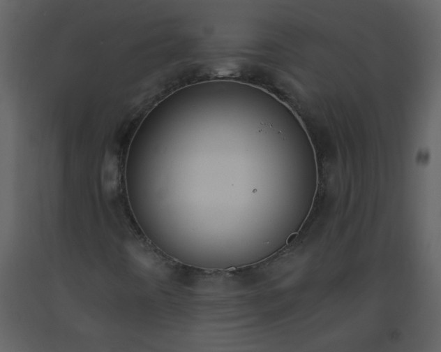 X0000093571442200710221433