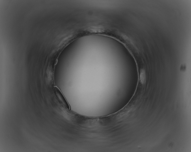 X0000093571444200710221433