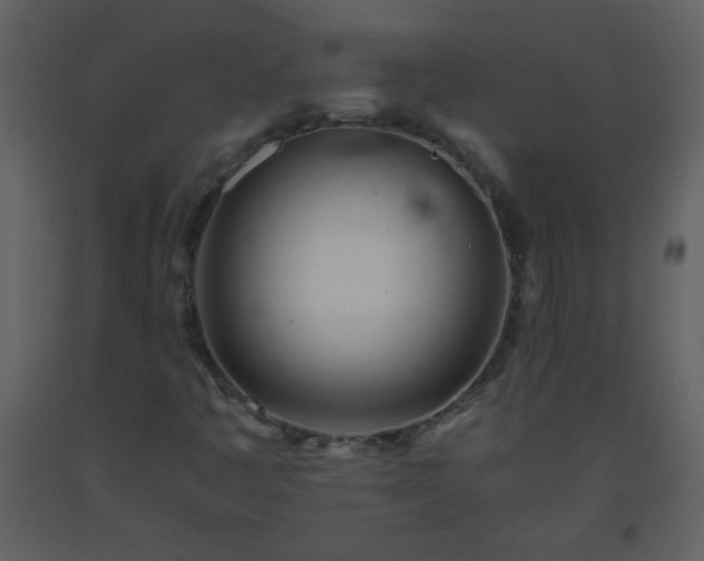 X0000093571445200710221433
