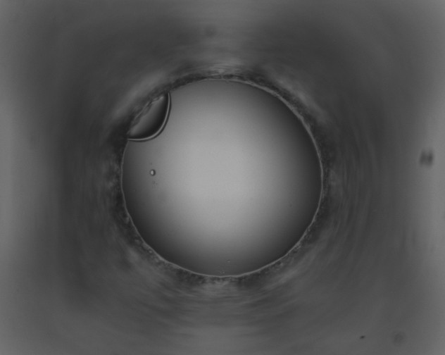 X0000093571447200710221433