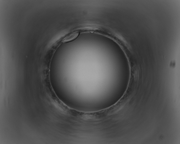 X0000093571448200710221433