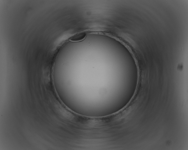 X0000093571451200710221433