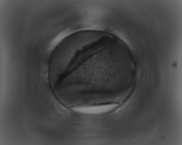 X0000093571455200710221433