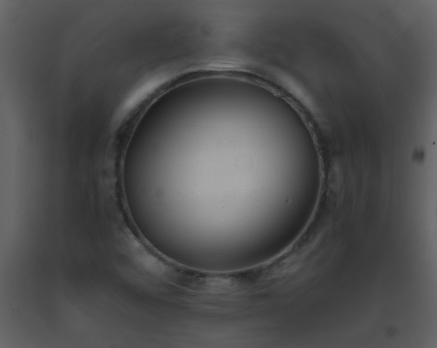 X0000093571456200710221433