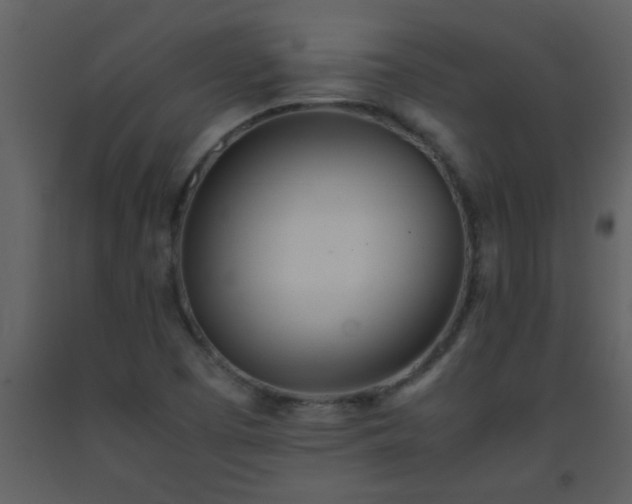 X0000093571457200710221433